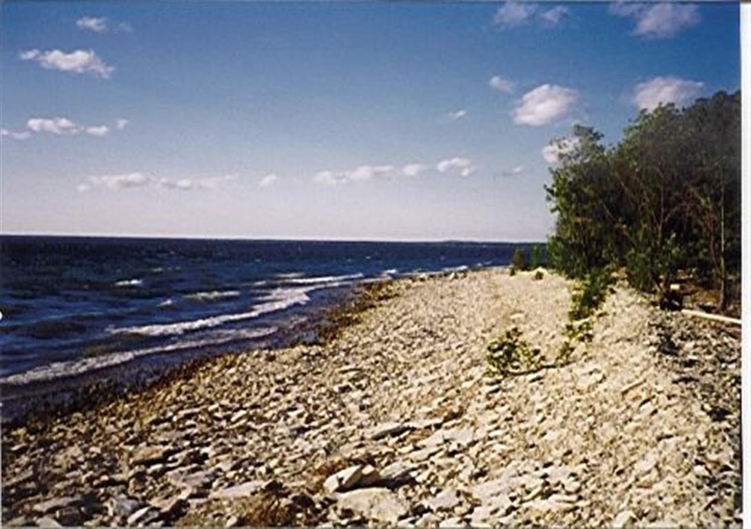 Listing Picture From L-307